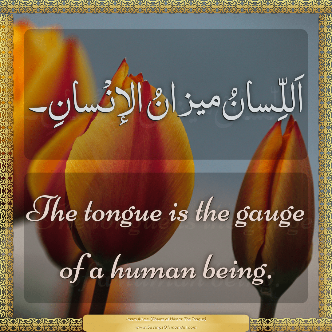 The tongue is the gauge of a human being.